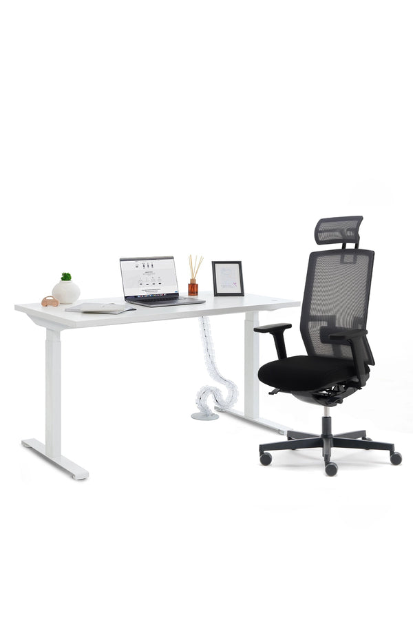 nurus ME TOO & OTTO BASIC Home Office Professional Comfort Çalışma Seti (Kopya)-yerli sırt Çalışma Masası Setleri nurus   